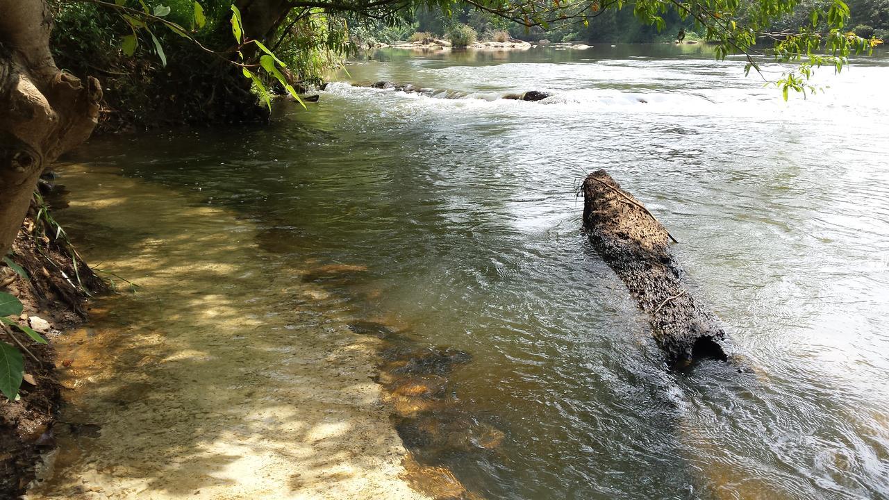 Nature'S Hideout Holiday Home Mirigama Zewnętrze zdjęcie